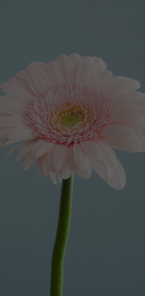 ů������