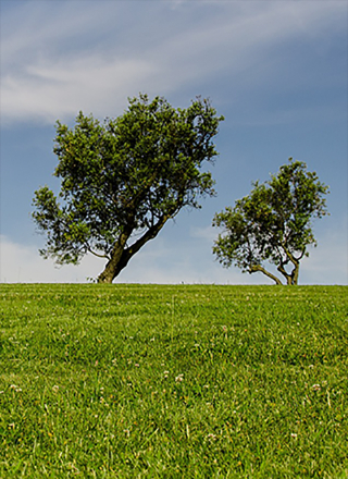 ��̬����