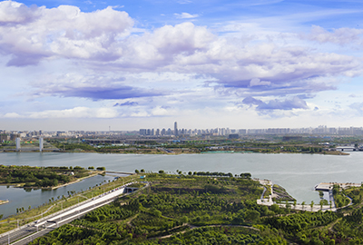 ֣�������Ľ�����